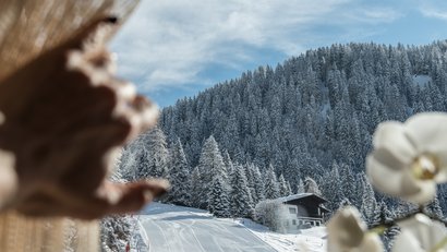 Chalet Hotel Laura: Alpine retreat in the Brenta Dolomites